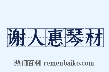 谢人惠琴材是什么意思的图片